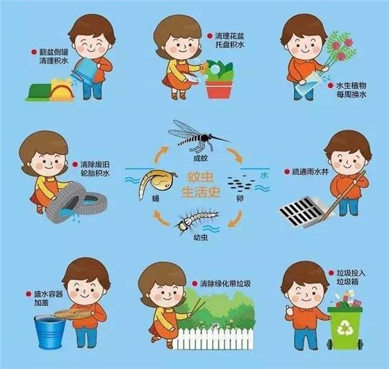 蚊蟲治理 蚊蟲治理