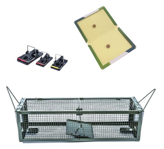 捕鼠器 捕鼠器