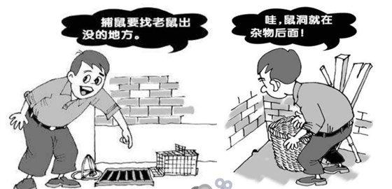 【景隆捕鼠器廠家】解決老鼠，就這4步！