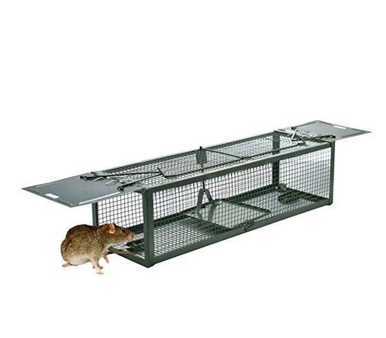 【撲鼠器直銷(xiāo)】原來(lái)老鼠怕捕鼠籠