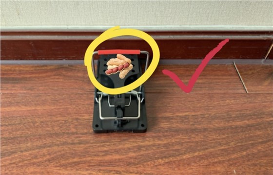 景隆捕鼠夾廠家