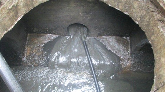 撲鼠器廠(chǎng)家景隆教你下水道如何滅鼠