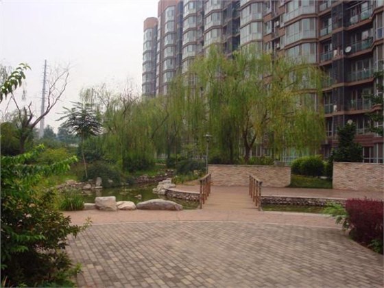 小區(qū)用這種獵鼠者毒餌站