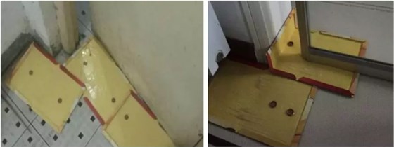 粘鼠板放好誘餌后如何正確擺放