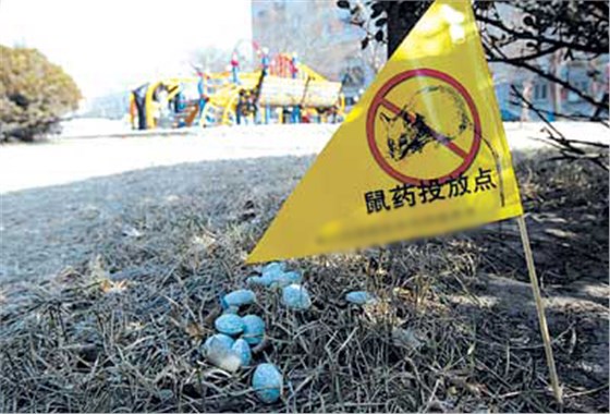 捕鼠盒廠(chǎng)家分享不同場(chǎng)所的鼠藥投放要求