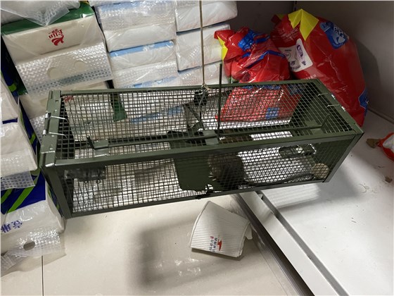 景隆雙門捕鼠籠效果