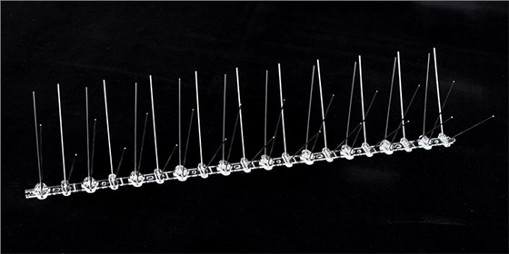 景隆防鳥刺 景隆防鳥刺