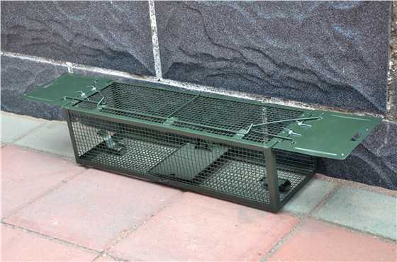 景隆雙開門捕鼠籠 景隆雙開門捕鼠籠