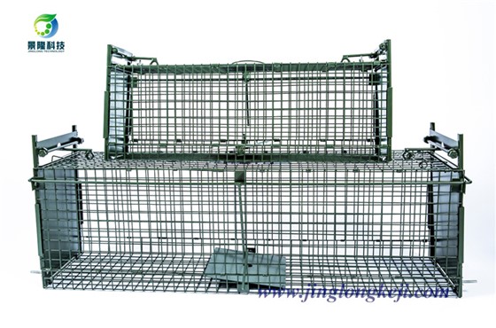 救助動物為什么要用動物捕捉籠