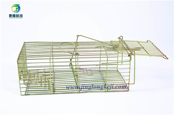 怎么用景隆松鼠籠捕捉野生松鼠