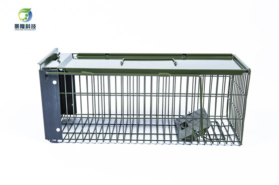 如何使用景隆單門捕鼠籠來捕捉老鼠