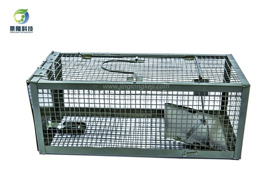 滅鼠籠這么用不對