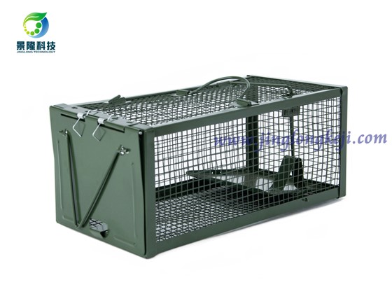 老鼠籠不奏效？可能是它上面有警示信號(hào)