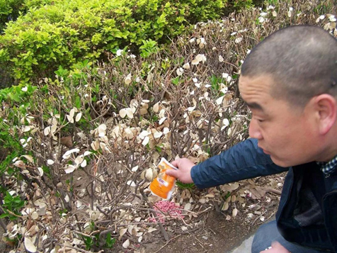  請愛護(hù)地球，保護(hù)家園