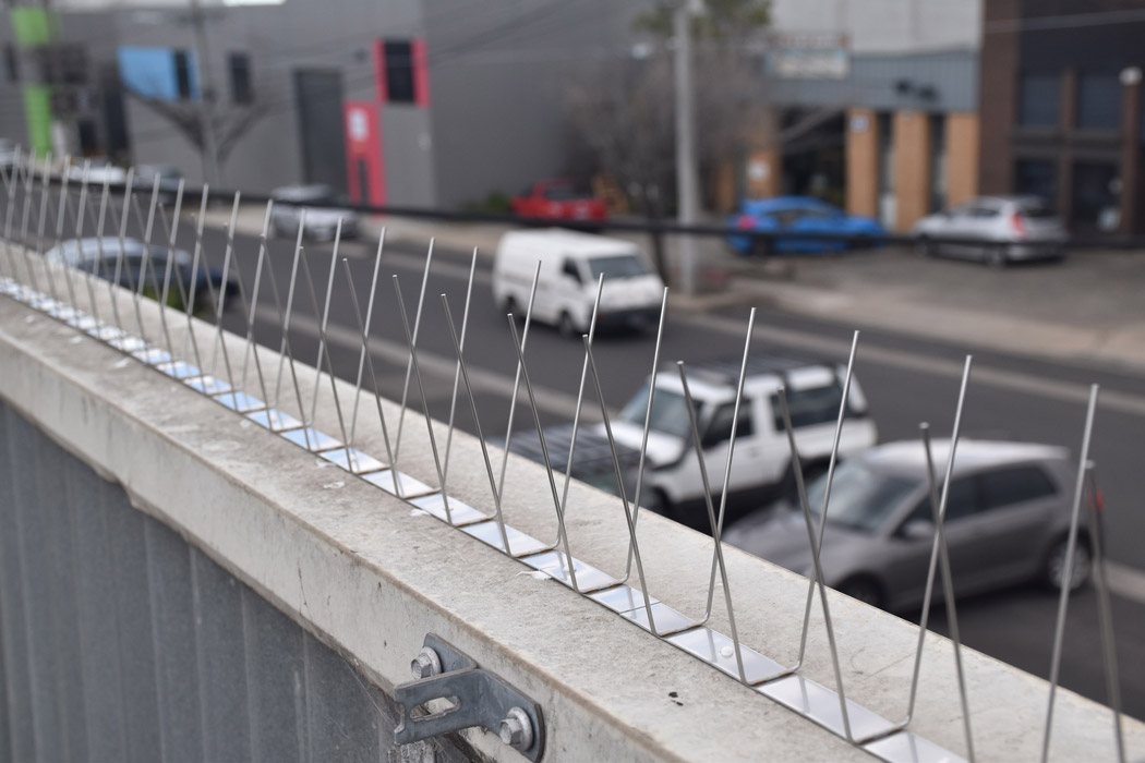 景隆驅(qū)鳥刺