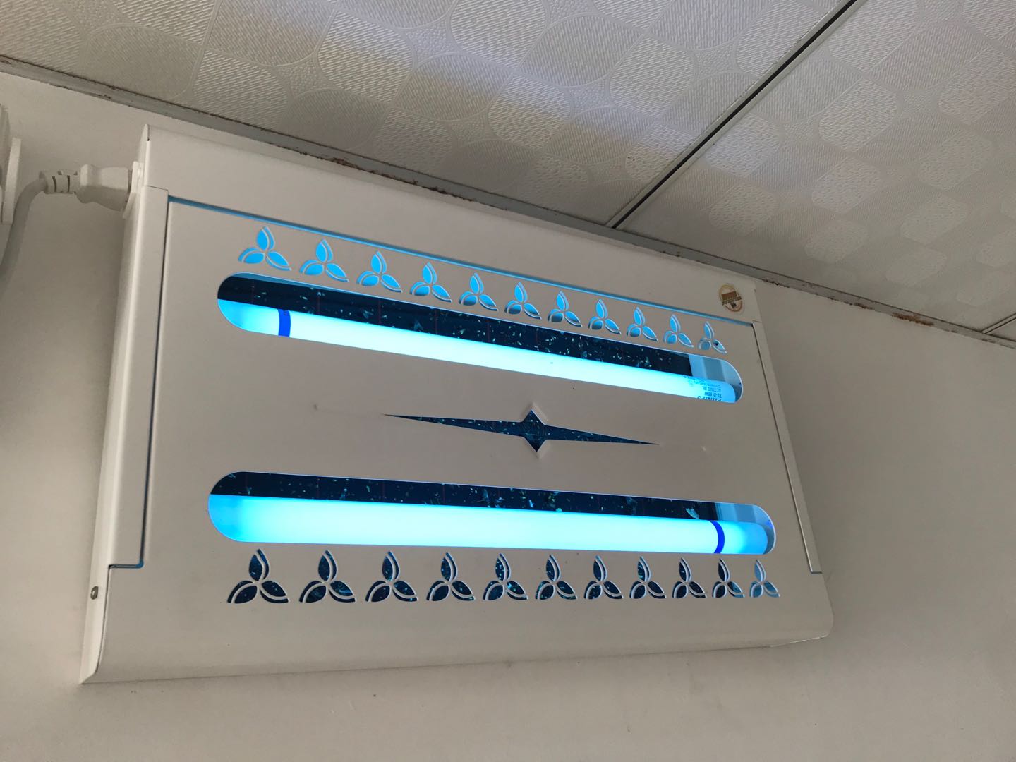 上海滅蠅燈定制選滄州景隆廠家