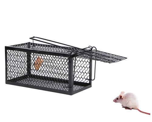 耗子籠子怎么才能反復(fù)用