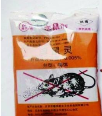 【景隆】教你如何衡量滅鼠合格的標(biāo)準(zhǔn)