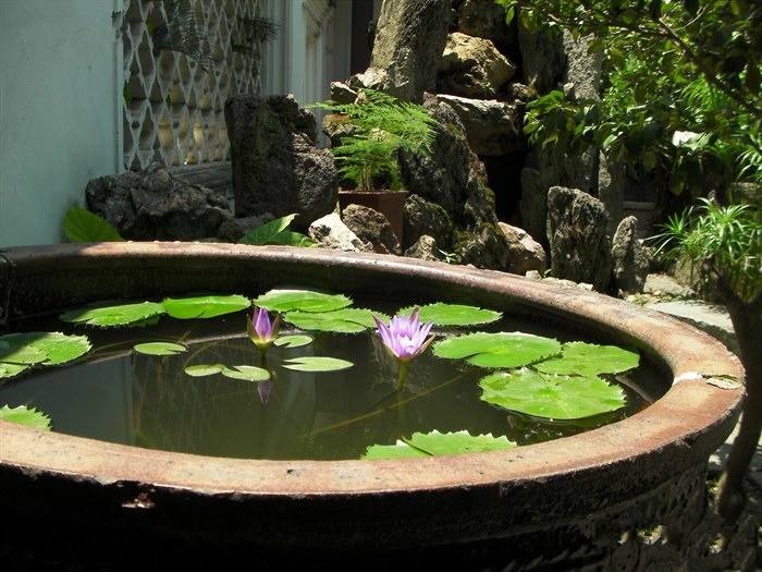 據(jù)工廠滅蠅燈廠家調(diào)查，如果去除溪澗的樹叢或灌木叢，使這類積水暴露于陽光之下，就能避免這種按蚊孳生