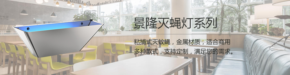 滅蠅燈 滅蠅燈