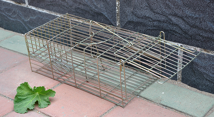 松鼠捕捉籠2001 松鼠捕捉籠2001