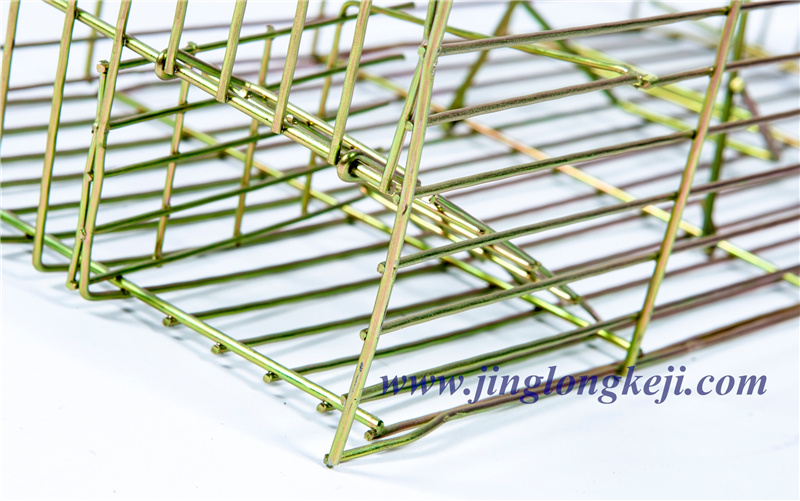 2001捕捉籠 2001捕捉籠