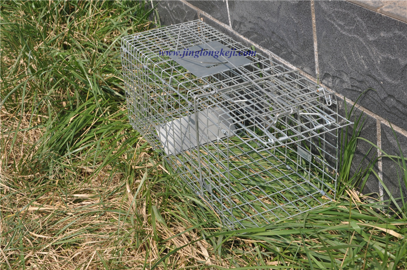 逮貓工具&mdash;&mdash;景隆捕貓籠