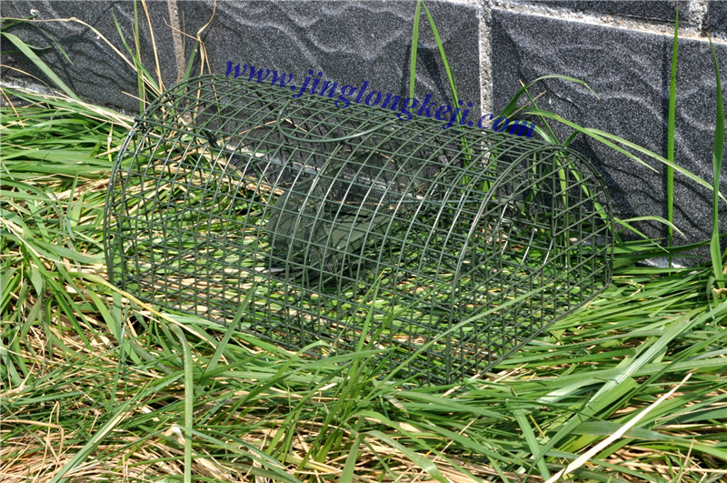 工廠捕鼠籠 工廠捕鼠籠