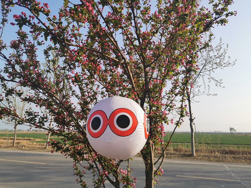 驅(qū)鳥器批發(fā) 驅(qū)鳥器批發(fā)