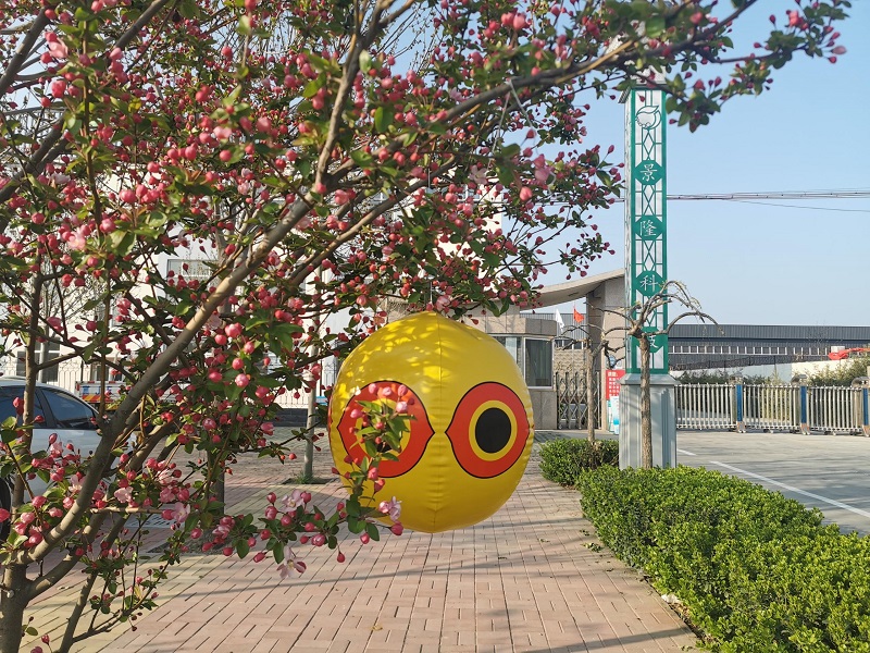 花臉氣球 花臉氣球