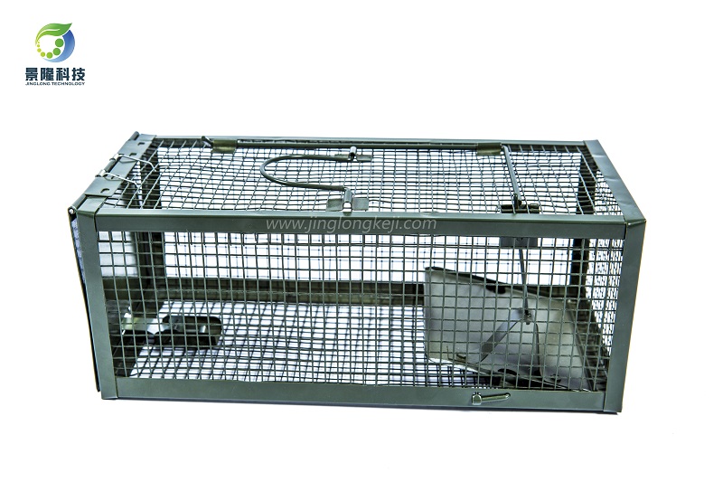 滅鼠籠這么用不對(duì)