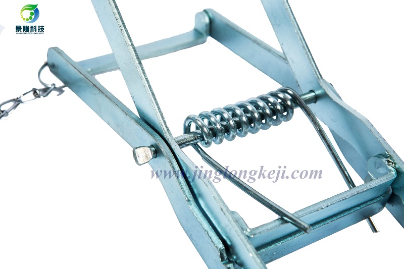 捉瞎鼠夾 捉瞎鼠夾