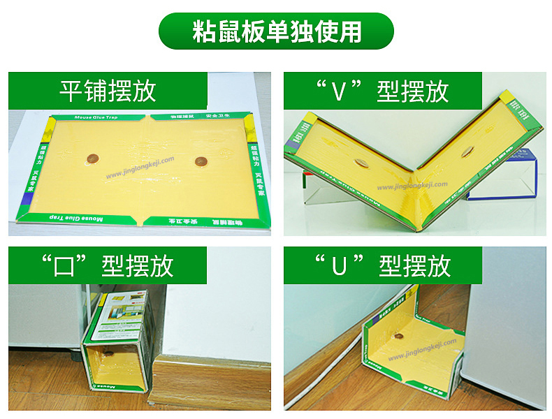 沾老鼠板 沾老鼠板