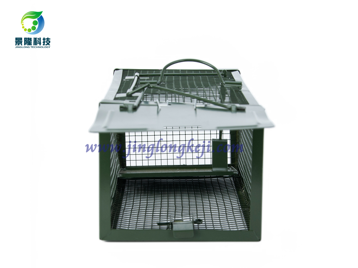 老鼠籠子 老鼠籠子