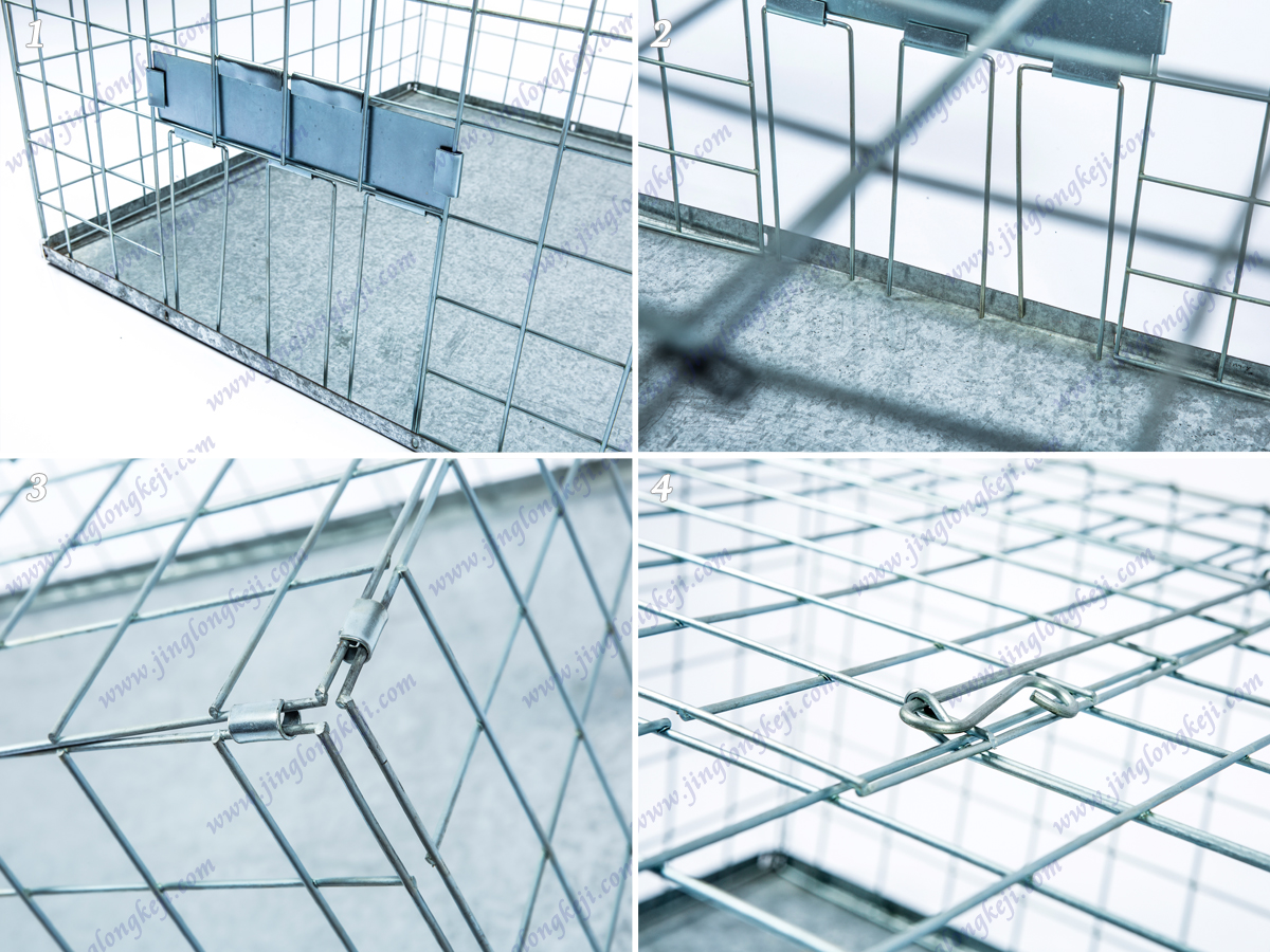 鴿子誘捕器 鴿子誘捕器